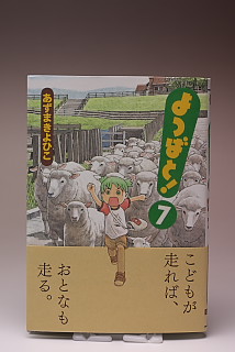 [買い物] シュラキ暁，アンジェラ，ねんどろタチコマ他